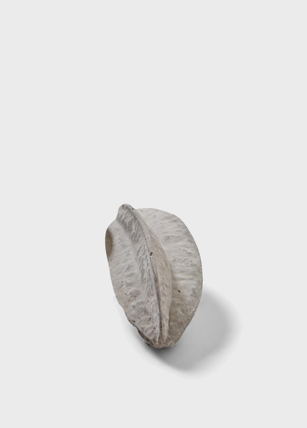 Escultura Fruta Carambola Cinza – Iludi Design – foto 1