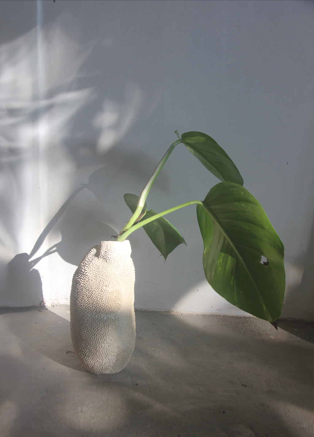 JACA VASE 7 OFF-WHITE